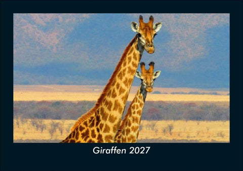 Giraffen 2027 Fotokalender DIN A5