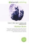 Human Brain