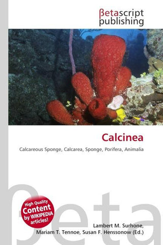 Calcinea