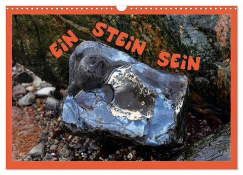 EIN STEIN SEIN (Wandkalender 2026 DIN A3 quer), CALVENDO Monatskalender