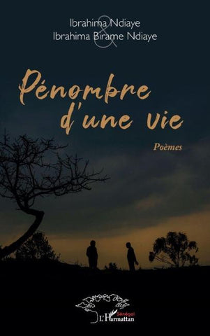 Pénombre d'une vie