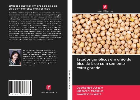 Estudos genéticos em grão de bico de bico com semente extra grande