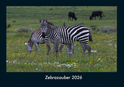 Zebrazauber 2026 Fotokalender DIN A4