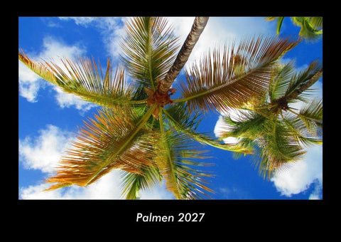 Palmen 2027 Fotokalender DIN A3