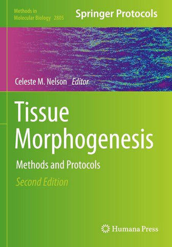Tissue Morphogenesis