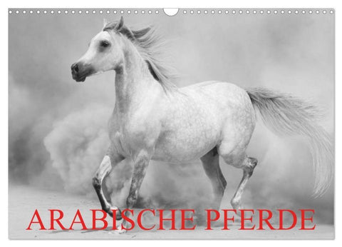 Arabische Pferde (Wandkalender 2026 DIN A3 quer), CALVENDO Monatskalender