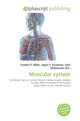 Muscular system