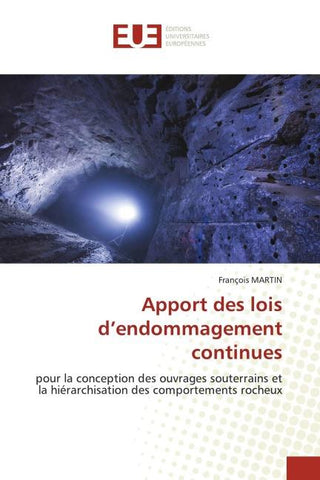 Apport des lois d'endommagement continues