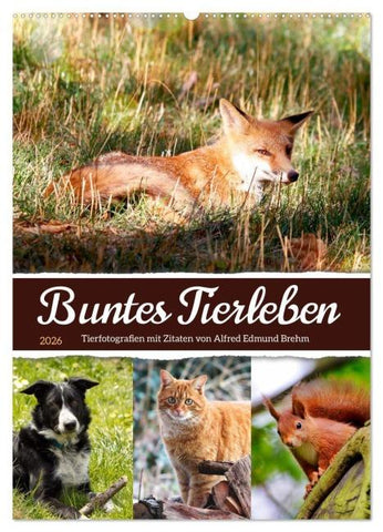 Buntes Tierleben (Wandkalender 2026 DIN A2 hoch), CALVENDO Monatskalender