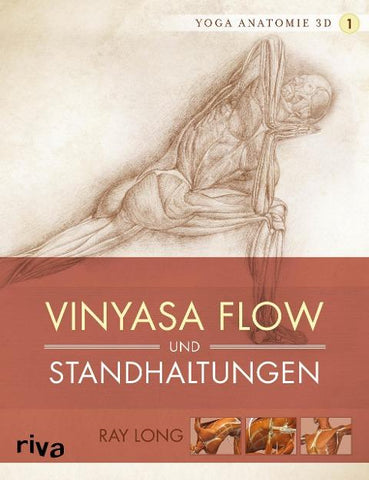 Yoga-Anatomie 3D