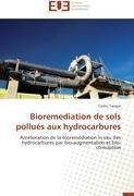 Bioremediation de sols pollués aux hydrocarbures
