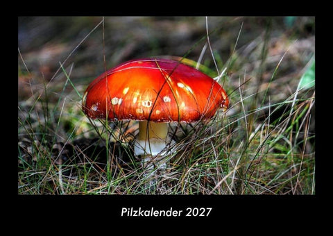 Pilzkalender 2027 Fotokalender DIN A3