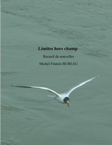 Limites hors champ