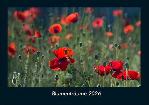 Blumenträume 2026 Fotokalender DIN A4