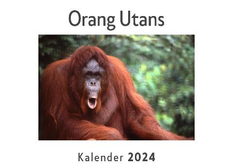 Orang Utans (Wandkalender 2024, Kalender DIN A4 quer, Monatskalender im Querformat mit Kalendarium, Das perfekte Geschenk)