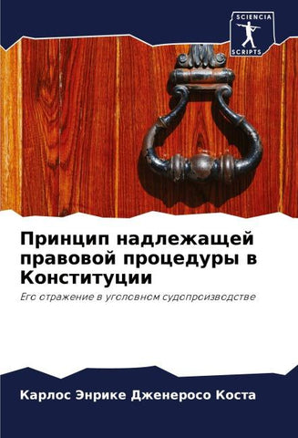 Princip nadlezhaschej prawowoj procedury w Konstitucii