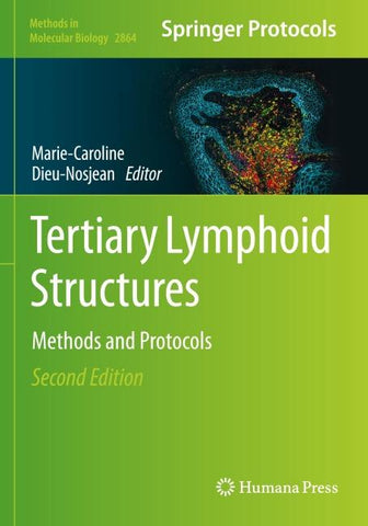Tertiary Lymphoid Structures