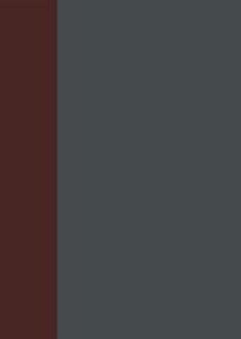 Aktiengesetz / §§ 278-310