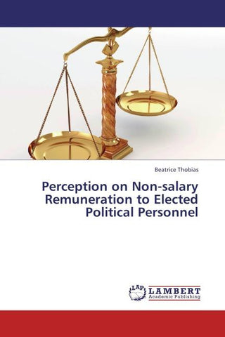 Perception on Non-salary Remuneration to Elected Political Personnel