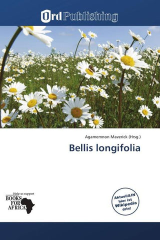 Bellis longifolia