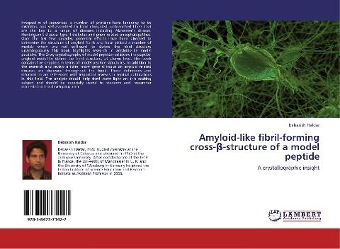 Amyloid-like fibril-forming cross-¿-structure of a model peptide