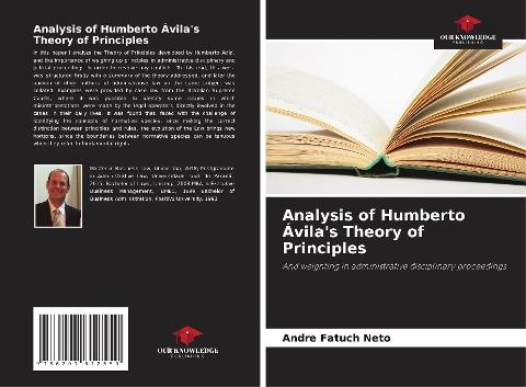 Analysis of Humberto Ávila's Theory of Principles