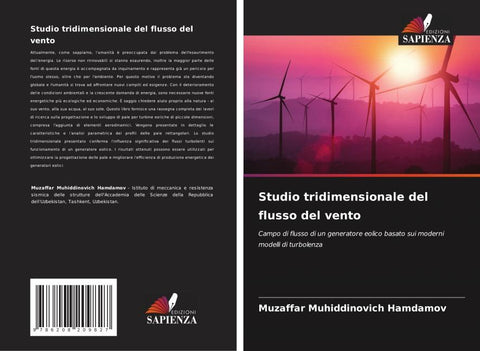 Studio tridimensionale del flusso del vento
