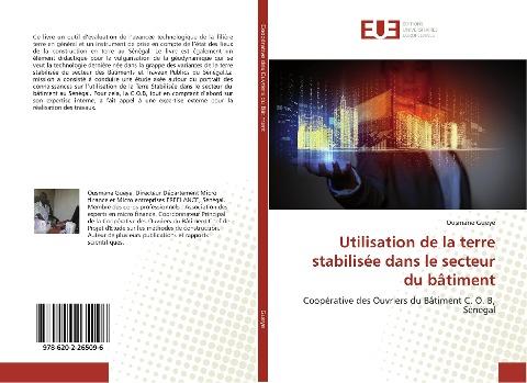 Utilisation de la terre stabilisée dans le secteur du bâtiment
