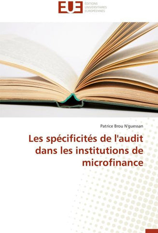 Les spécificités de l'audit dans les institutions de microfinance