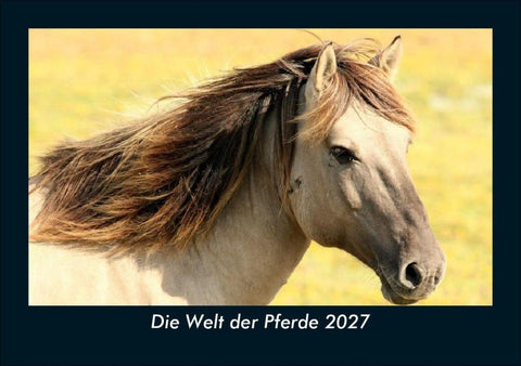 Die Welt der Pferde 2027 Fotokalender DIN A5