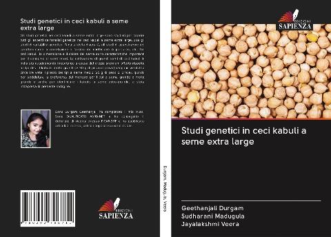 Studi genetici in ceci kabuli a seme extra large