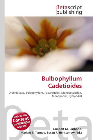 Bulbophyllum Cadetioides