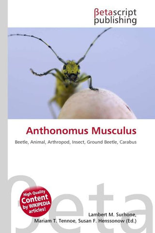 Anthonomus Musculus