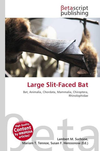 Large Slit-Faced Bat