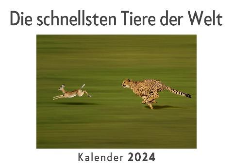 Die schnellsten Tiere der Welt (Wandkalender 2024, Kalender DIN A4 quer, Monatskalender im Querformat mit Kalendarium, Das perfekte Geschenk)