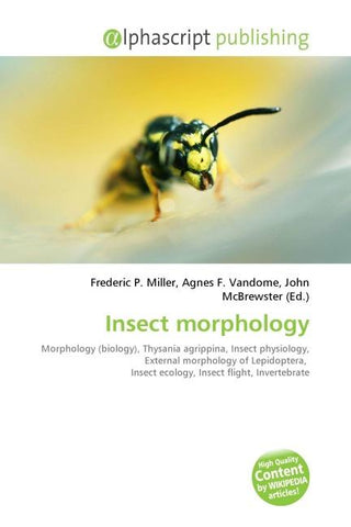 Insect morphology