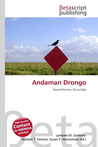 Andaman Drongo