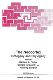 The Neocortex