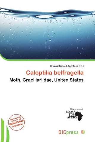 Caloptilia belfragella
