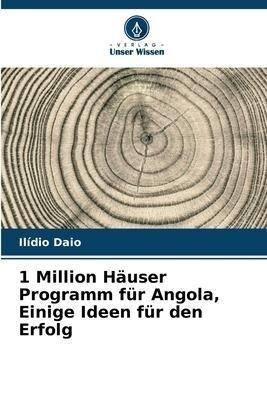 1 Million Häuser Programm für Angola, Einige Ideen für den Erfolg