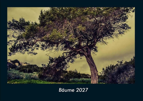 Bäume 2027 Fotokalender DIN A4