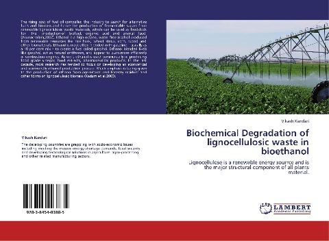 Biochemical Degradation of lignocellulosic waste in bioethanol