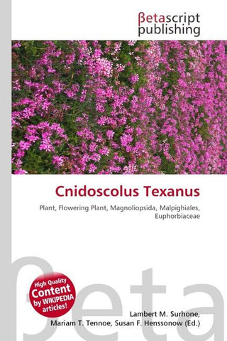 Cnidoscolus Texanus
