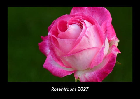 Rosentraum 2027 Fotokalender DIN A3