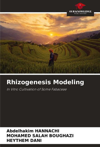 Rhizogenesis Modeling