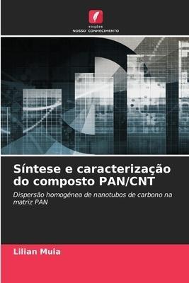 Síntese e caracterização do composto PAN/CNT