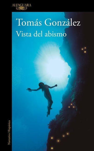 Vista del abismo