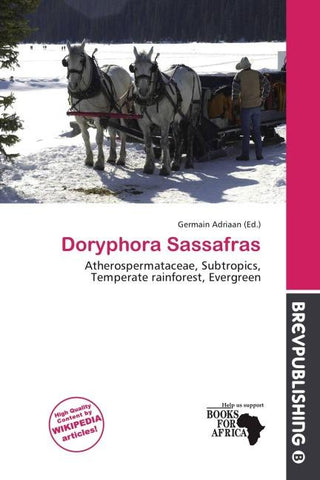 Doryphora Sassafras
