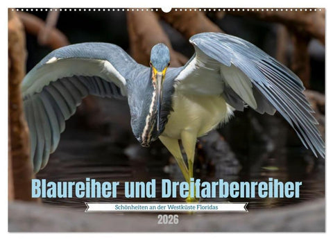 Blaureiher und Dreifarbenreiher (Wandkalender 2026 DIN A2 quer), CALVENDO Monatskalender
