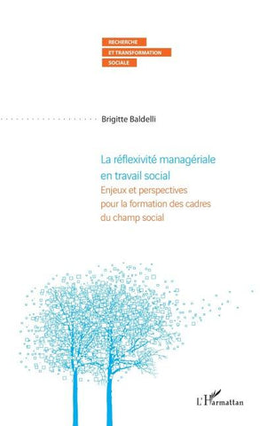 La réflexivité managériale en travail social
